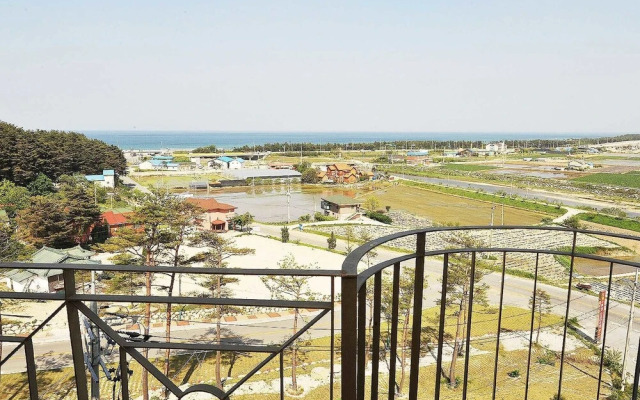 Yangyang See Star Donghae