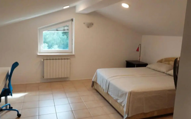 Apartma Viva