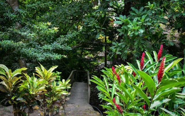 Ecohabs Bosques del Tayrona