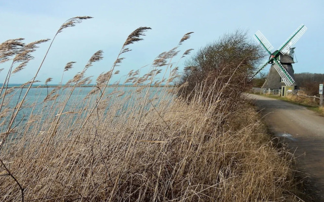 Terrassenwohnung direkt am Ostseestrand