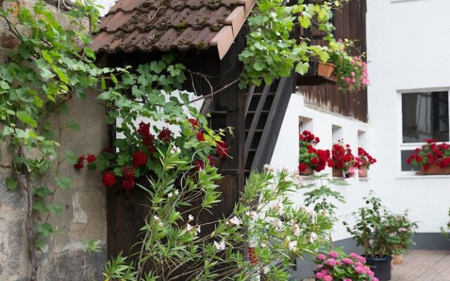 Gasthof zur Rose