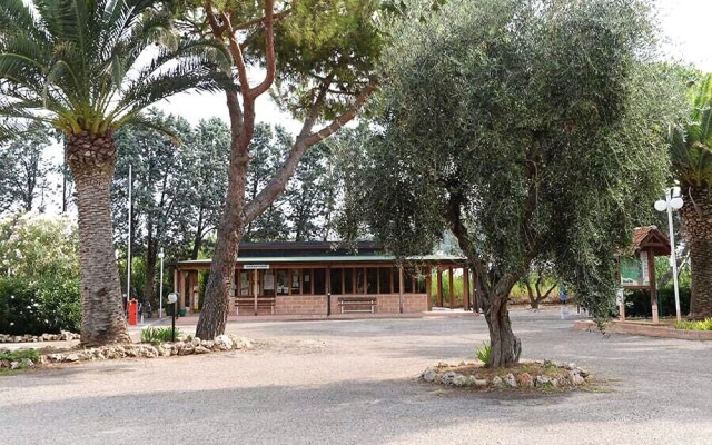 Villaggio Turistico Camping Parco Degli Ulivi