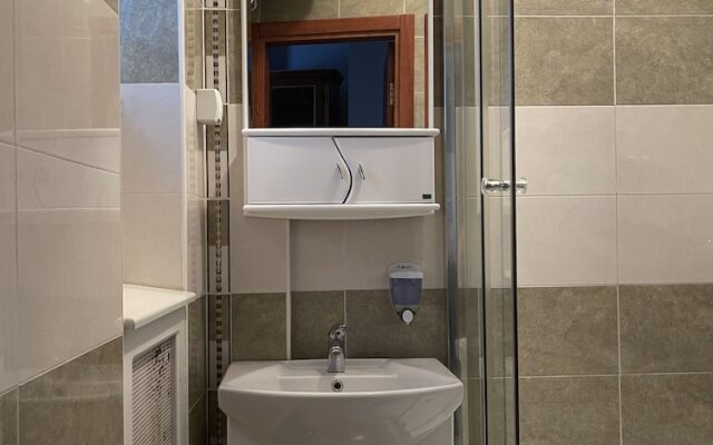 Travelling Actor - Skadarlija