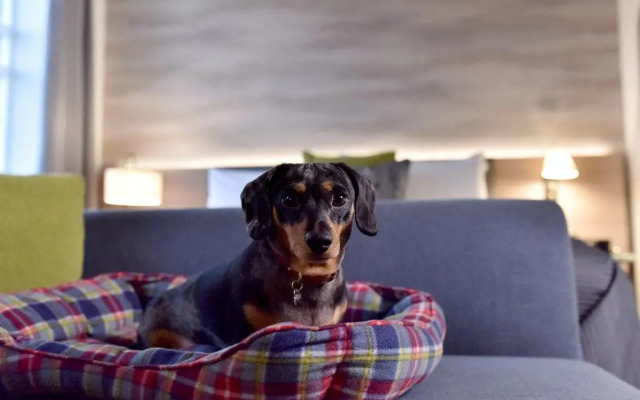 Staybridge Suites Dundee by IHG