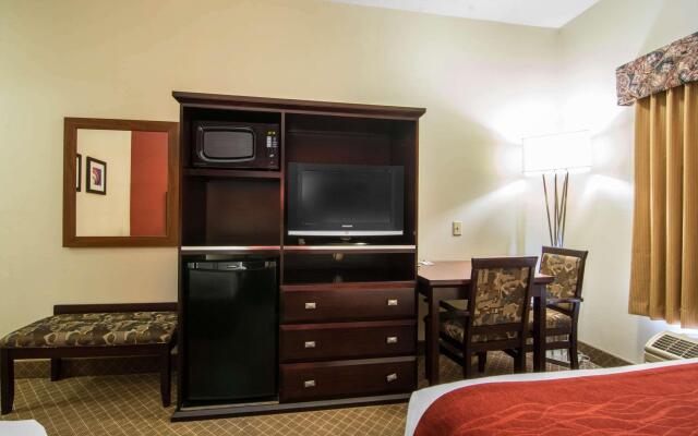 Comfort Inn & Suites Airport South