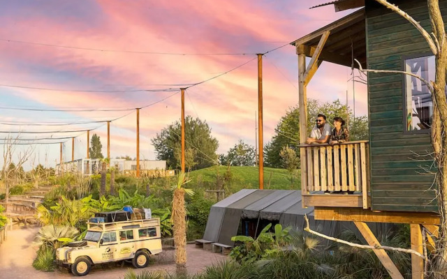 Les Lodges - Parrot World