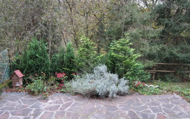 Waldpension Stachl