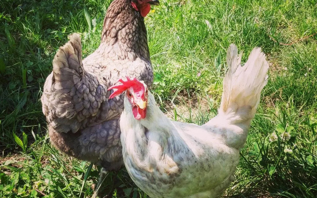 Agritur Maso Spezial