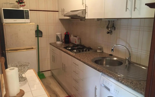 Green house - Sea view