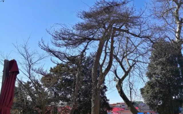 Yuanye Yunshu Hostel