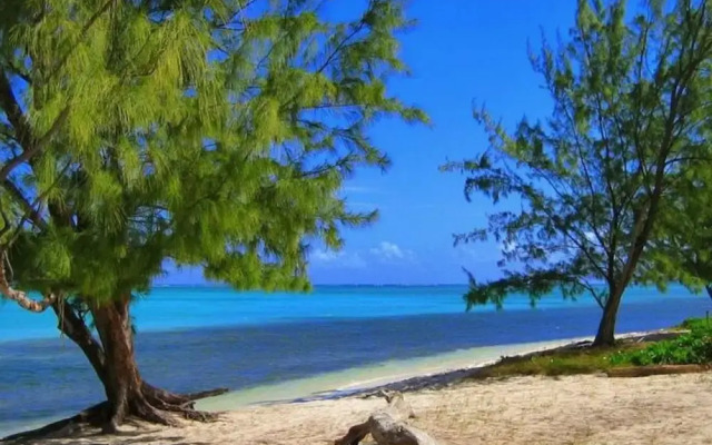 S2 BP Steps to Beach Car Value Service