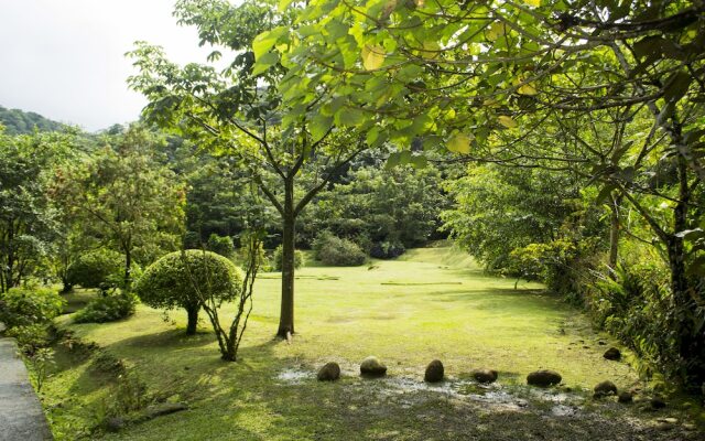 Lands in Love Tierras Enamoradas