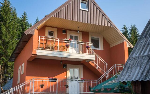 Apartments Dedeic in Zabljak, Montenegro from 74$, photos, reviews - zenhotels.com