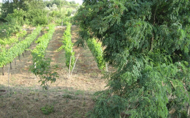 La Locanda di Campagna