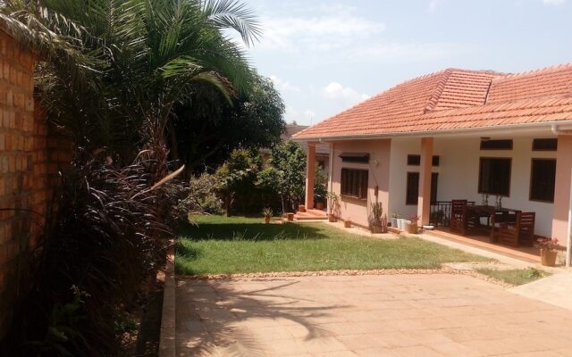 Ziso Home - Adults Only
