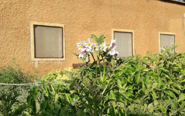 Ouirgane Ecolodge