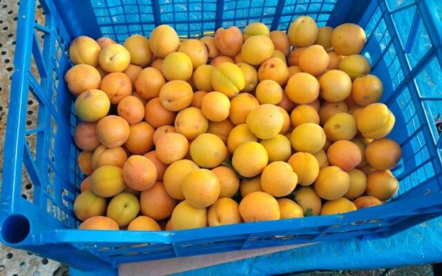 Agriturismo Bio Pian Dei Casali