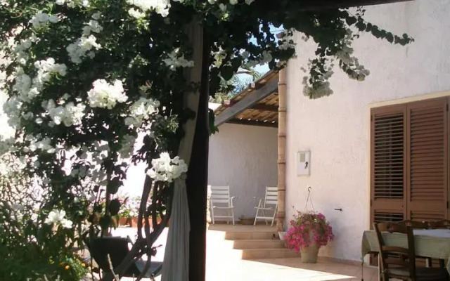 L'Ulivo