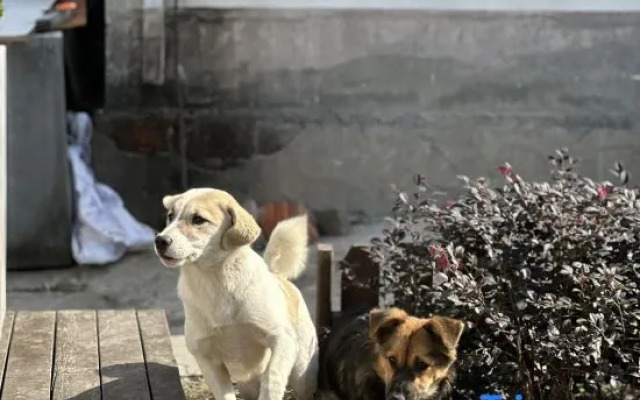 Yin Ye  Homestay（Dongzhuang）