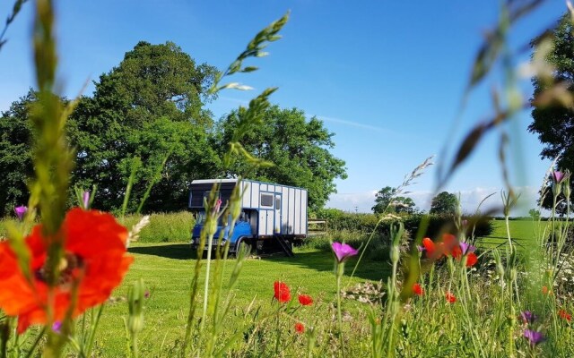 Glamping Thorpe