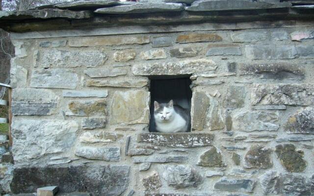 Castello Malaspina di Gambaro