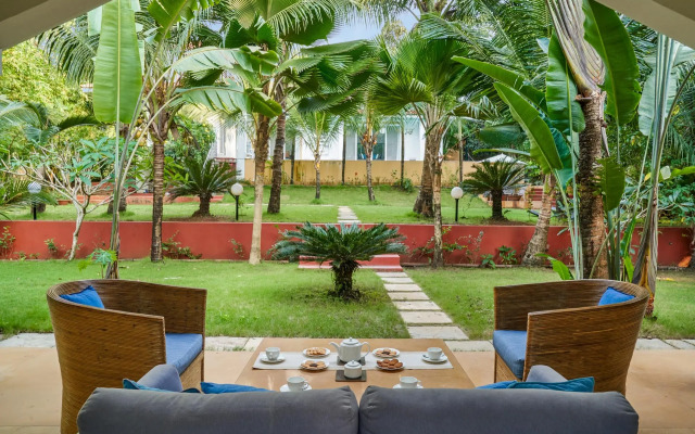 JUNGLEBAGH