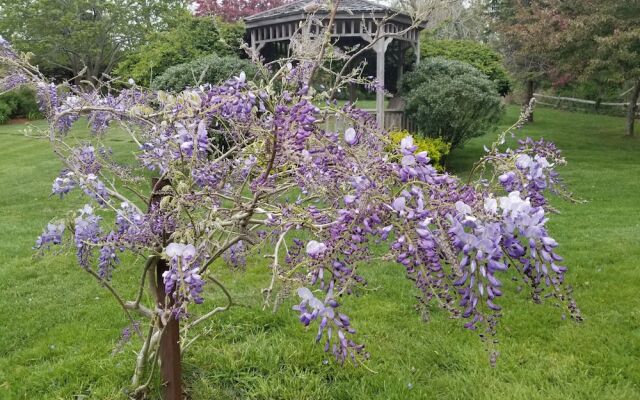 Whalewalk Inn and Spa