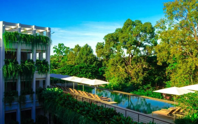 Treeline Urban Resort
