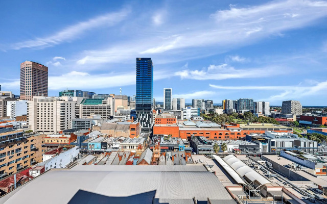 Swainson At Horizons