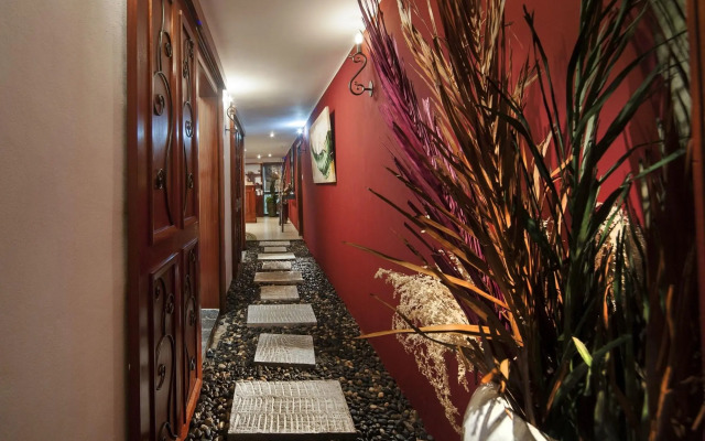 Residence Le Palmiste