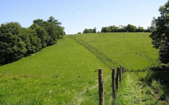 Cabane dans les Arbres - Tree House