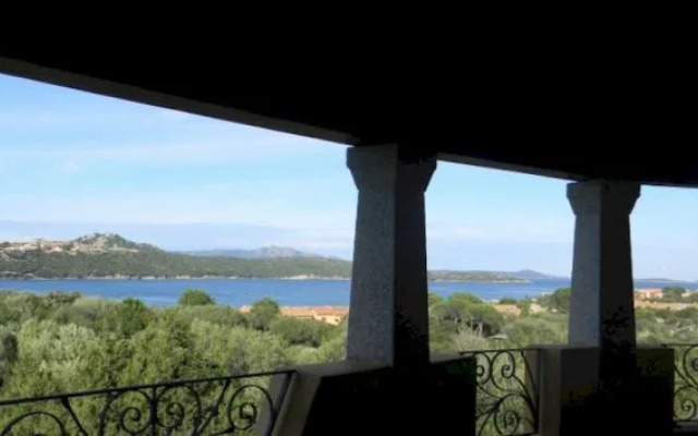 Asfodeli di Marinella