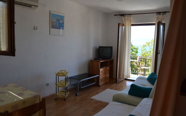 Apartment Jozo - 150 m from pebble beach: A1 Gradac, Riviera Makarska