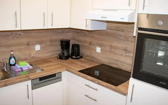 Nice Apartment in Breitenbrunn With Sauna
