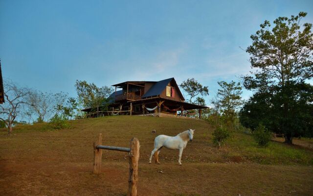 Blue Zone Bed and Breakfast at Casa Bellavista