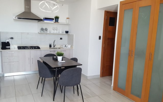 Apartment Finally Furnished In The Ens Piantini