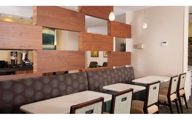 SpringHill Suites by Marriott Orlando Convention Center/International Drive Area
