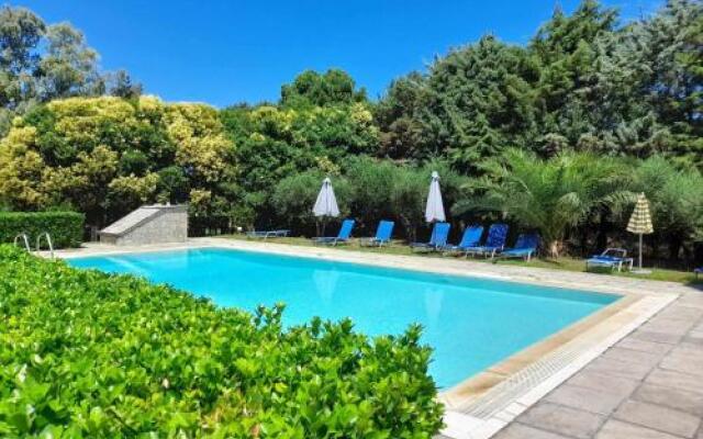 Lemontree Apartments