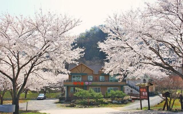 Maple pension