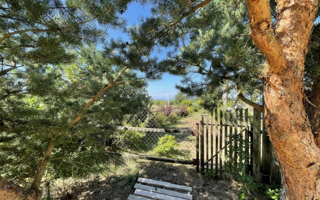 Дом в Спицино 135