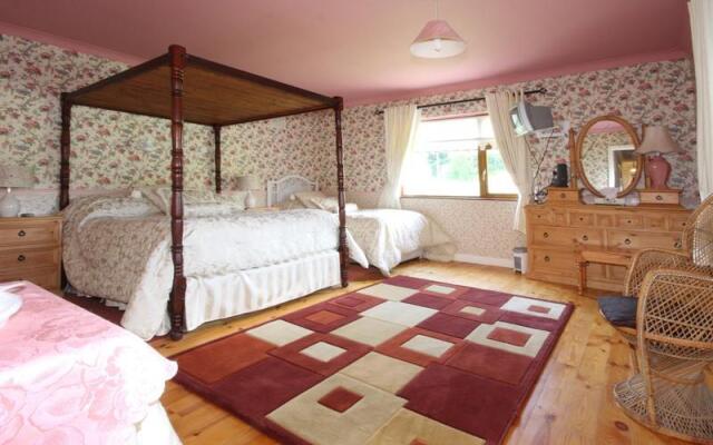 Mount Usher View B&B