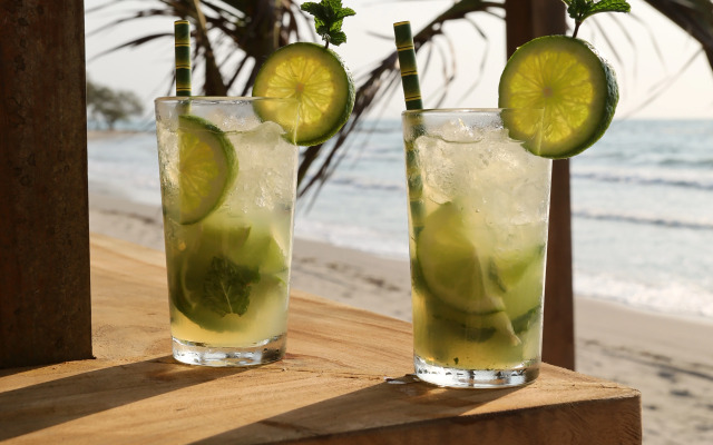 Camino Palmero Coveñas