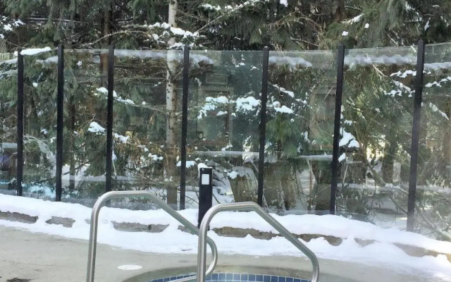 Alpenglow Lodge Studio with park view by MVA