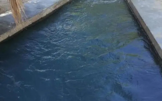 Safari Camp Bahariya Oasis