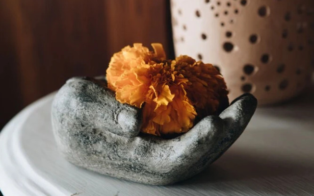 White Tortoise Eco Villa's