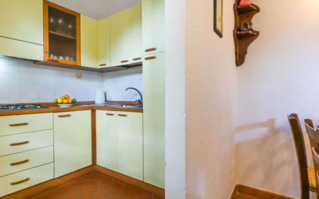 Giuggiolo - Giuggiolo 3