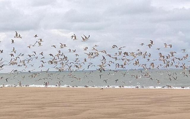 Village Vacances 4 etoiles LES MATHES AUX CHARMETTES