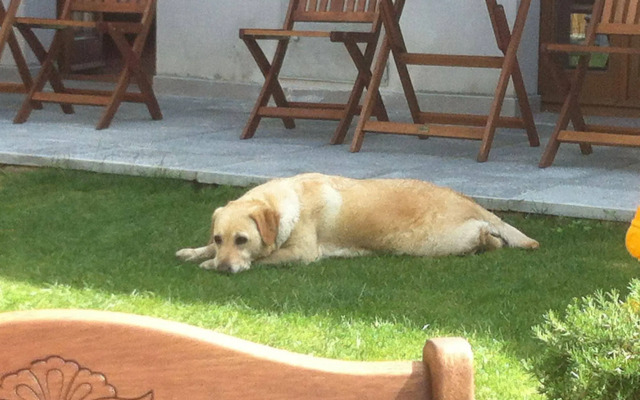 Il Casale del Giglio