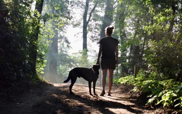 Natuurlogies Buurse Buiten
