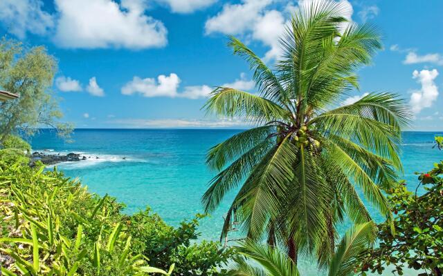 Grand Champions 163 in Kihei